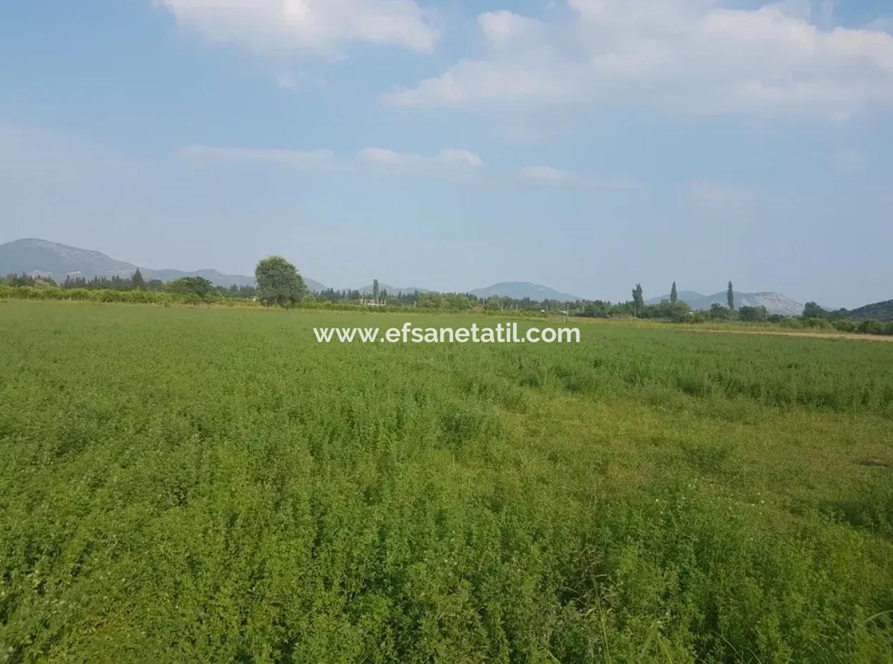 3700 M2 Fruchtbares Feld Zum Verkauf In Ortaca Fevziye