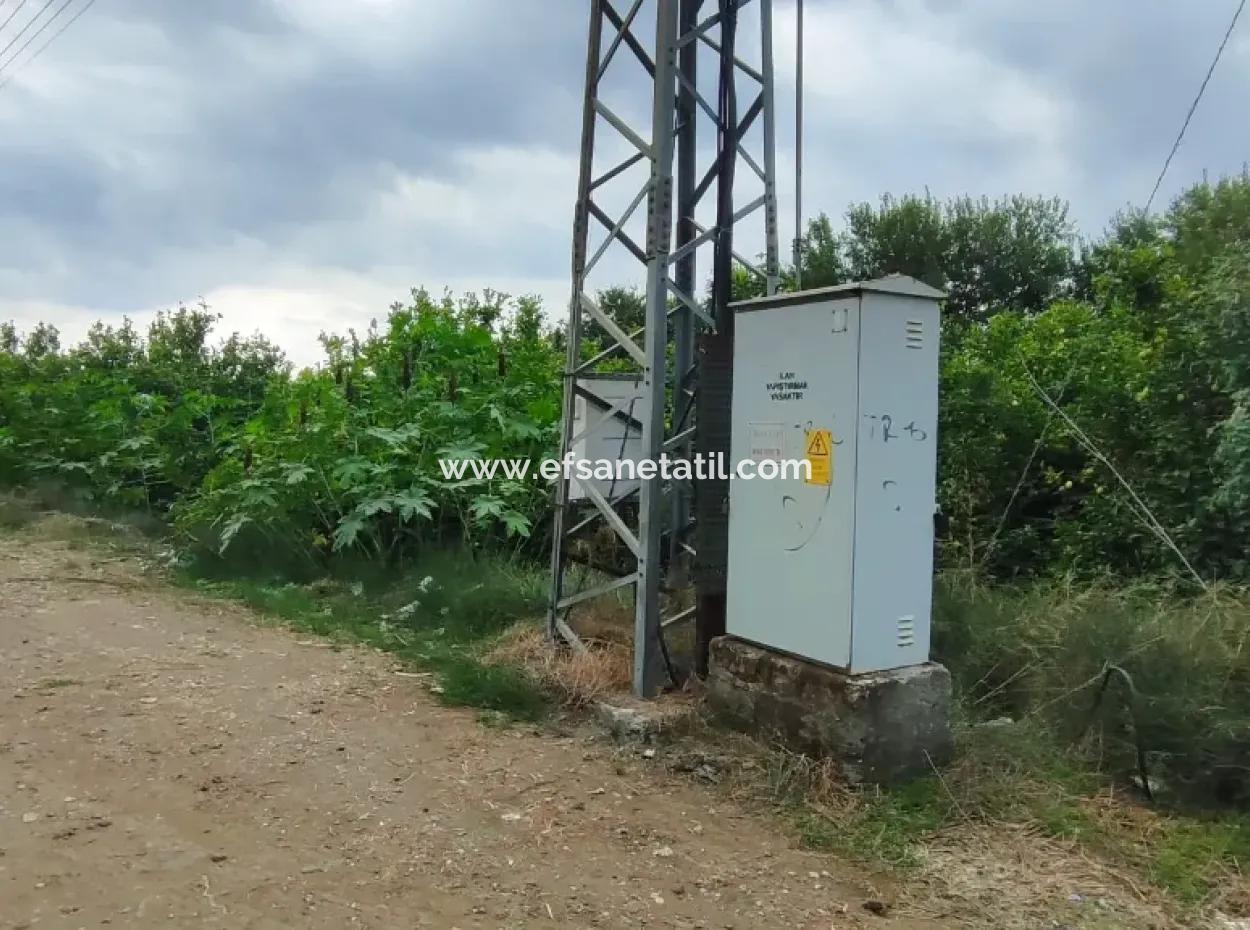 Muğla Ortaca Fevziye 3 Km Vom Meer Entfernt 6 200M2 Feld Zum Verkauf