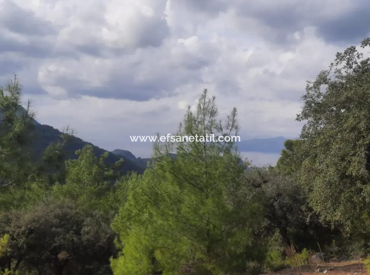 Muğla Dalyan Gökbelde 7 270 M2 Freistehende Eigentumsurkunde Land Mit Meer- Und Seeblick Zum Verkauf