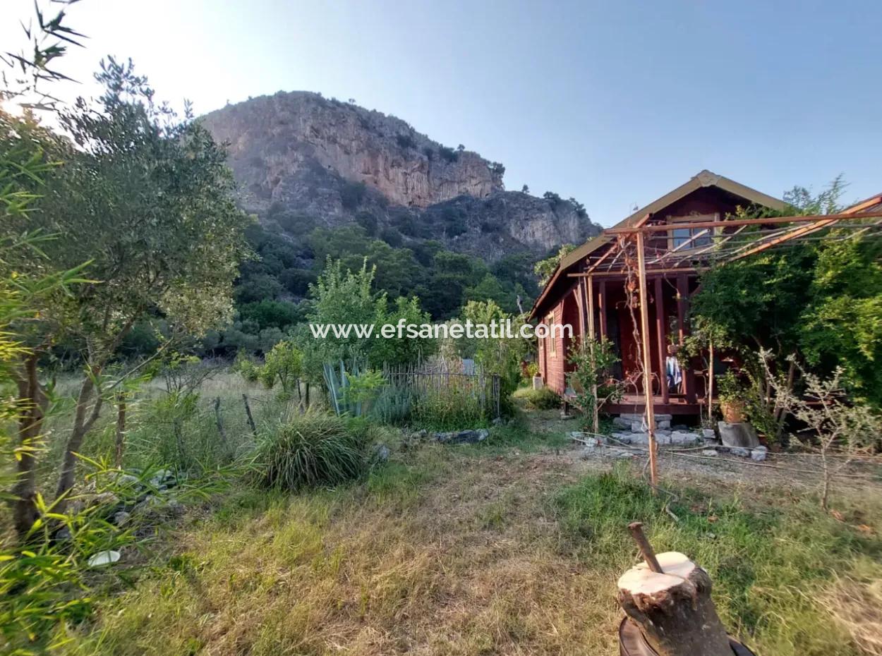 Einstöckiges Haus Zum Verkauf Auf 15 000M2 Freistehendem Grundstück In Der Nähe Des Dalyan-Kanals In Köyceğiz Çandırda