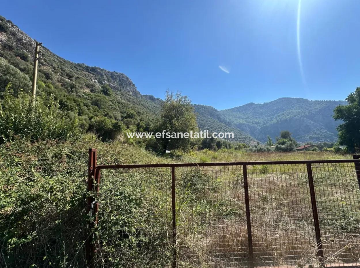 3073 M2 Feld Zu Vermieten In Dalyan Marmarlı