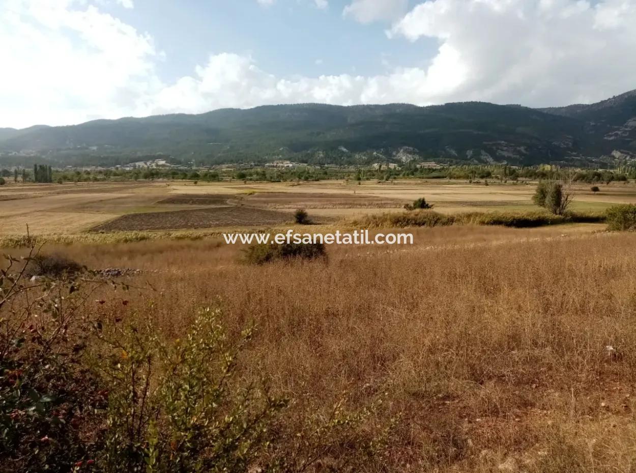 2603 M2 Feld Zum Verkauf In Denizli Çameli Belevi Nachbarschaft