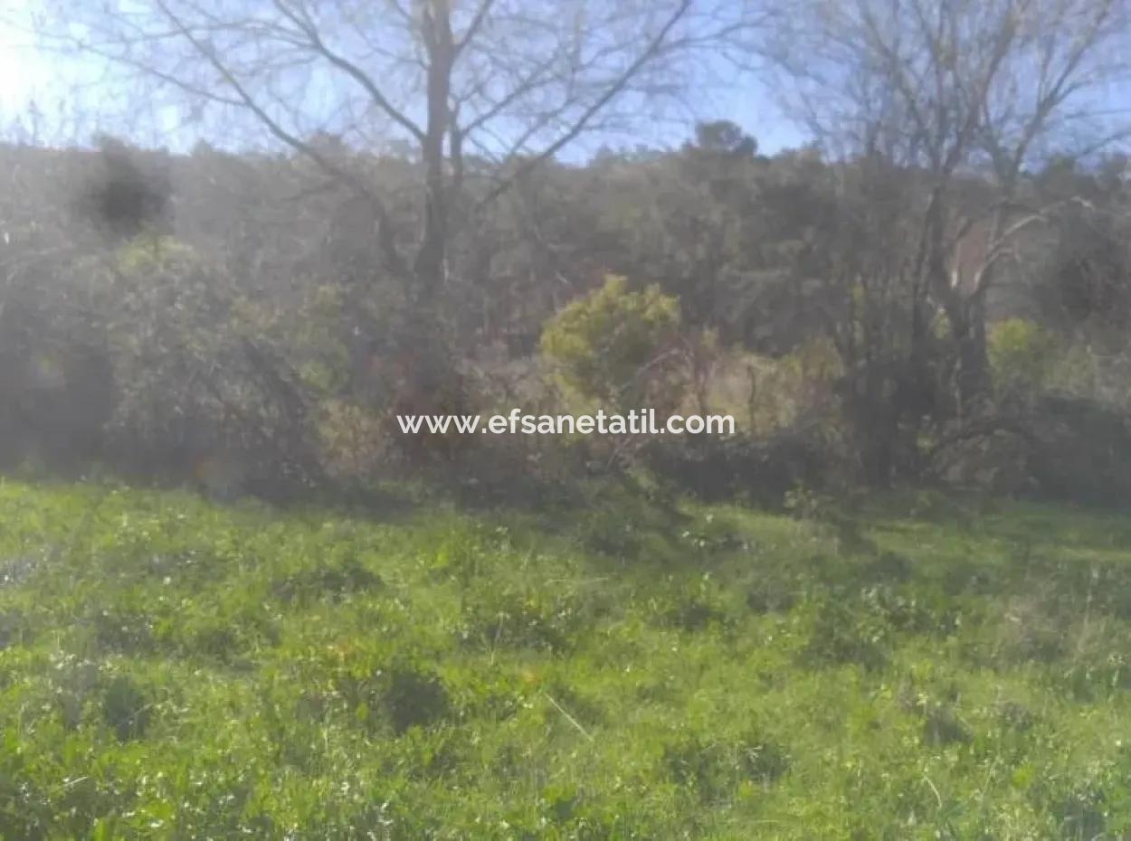 Land Zum Verkauf In Bargain Detached Zeytinalani