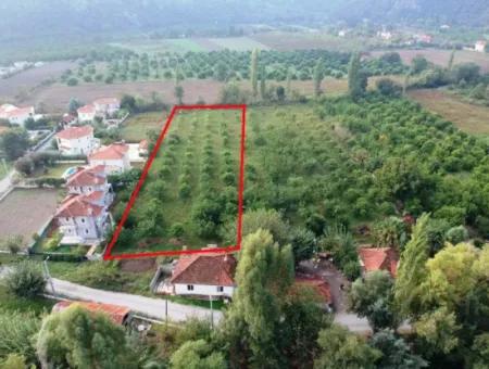 Muğla Okçular Marmarlıda 4.000M2 Bebauungsplan, Grundstück Für Investitionen Geeignet Zum Verkauf