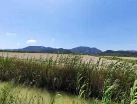 Fruchtbares Land Zu Vermieten In Ortaca Güzelyurt