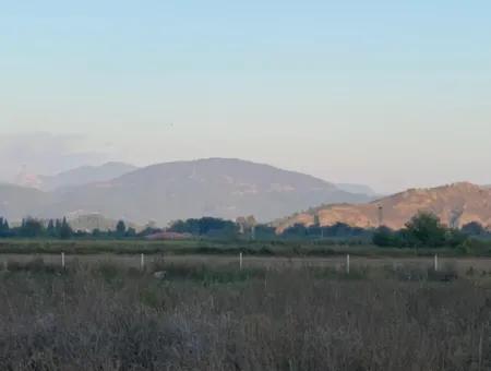 26.200 M2 Freistehendes Feld Und 3.000 M2 200 Avocados Zum Verkauf In Ortaca Güzelyurt