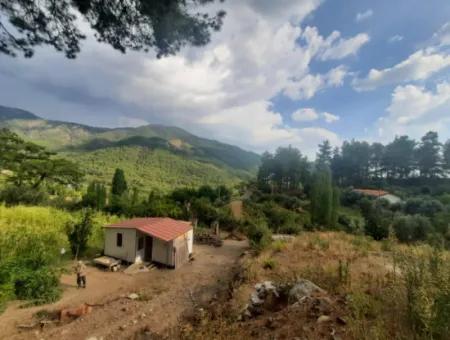 Muğla Köyceğiz Ağla - 535 M2 Grundstück Und Tiny House Haus Zum Verkauf Auf Dem Plateau