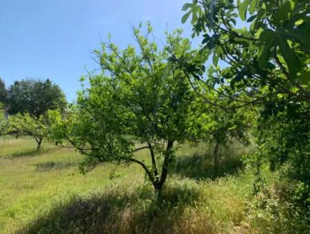 1120 M2 Grundstück Zum Verkauf In Ortaca Akıncı