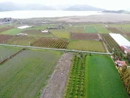 4100M2 Feld Zum Verkauf In Der Nähe Des Sees In Dalyanda, Muğla