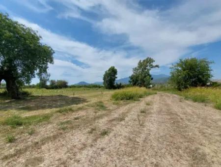 Fruchtbares 1.680 M2 Land Am Berghang Zum Verkauf In Dalyan, Muğla