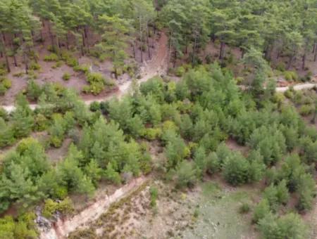 Fethiye Üzümlü Kızılbelde 7.000M2, 250M2 Grundstück Zum Verkauf Mit Baurechten, Geeignet Für Investitionen