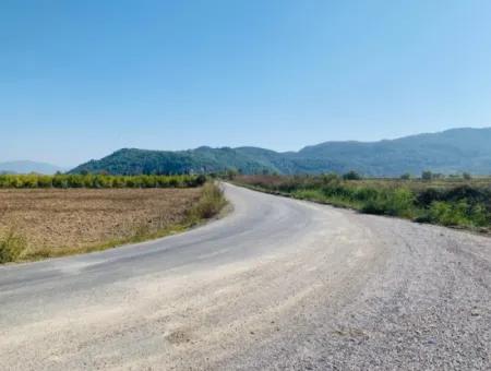 6000 M2 Eckgrundstück Zum Verkauf In Ortaca Güzelyurt