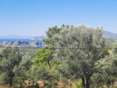 Mugla Gökbelde See- Und Meerblick 1000M2 Land Zum Verkauf