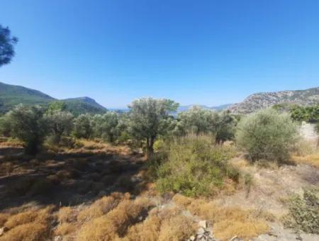 Mugla Gökbelde See- Und Meerblick 1000M2 Land Zum Verkauf