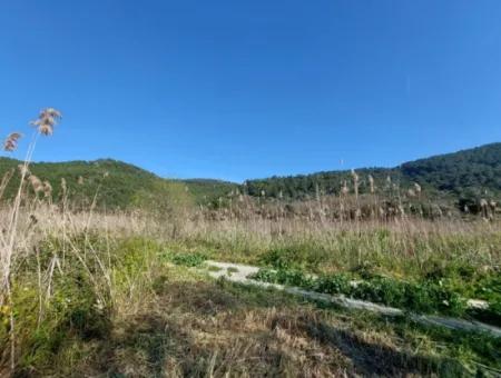 Fruchtbares 6.350 M2 Land Zum Verkauf In Muğla Ortaca Güzelyurt