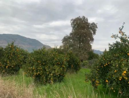 1084 M2 Zoniertes Schnäppchengrundstück Zum Verkauf In Ortaca Ekşiliyurt