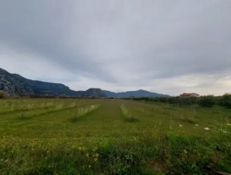 5094 M2, 250 M2 Granatapfelgarten, Geeignet Für Investitionen Mit Baugenehmigung Zum Verkauf In Dalyan.