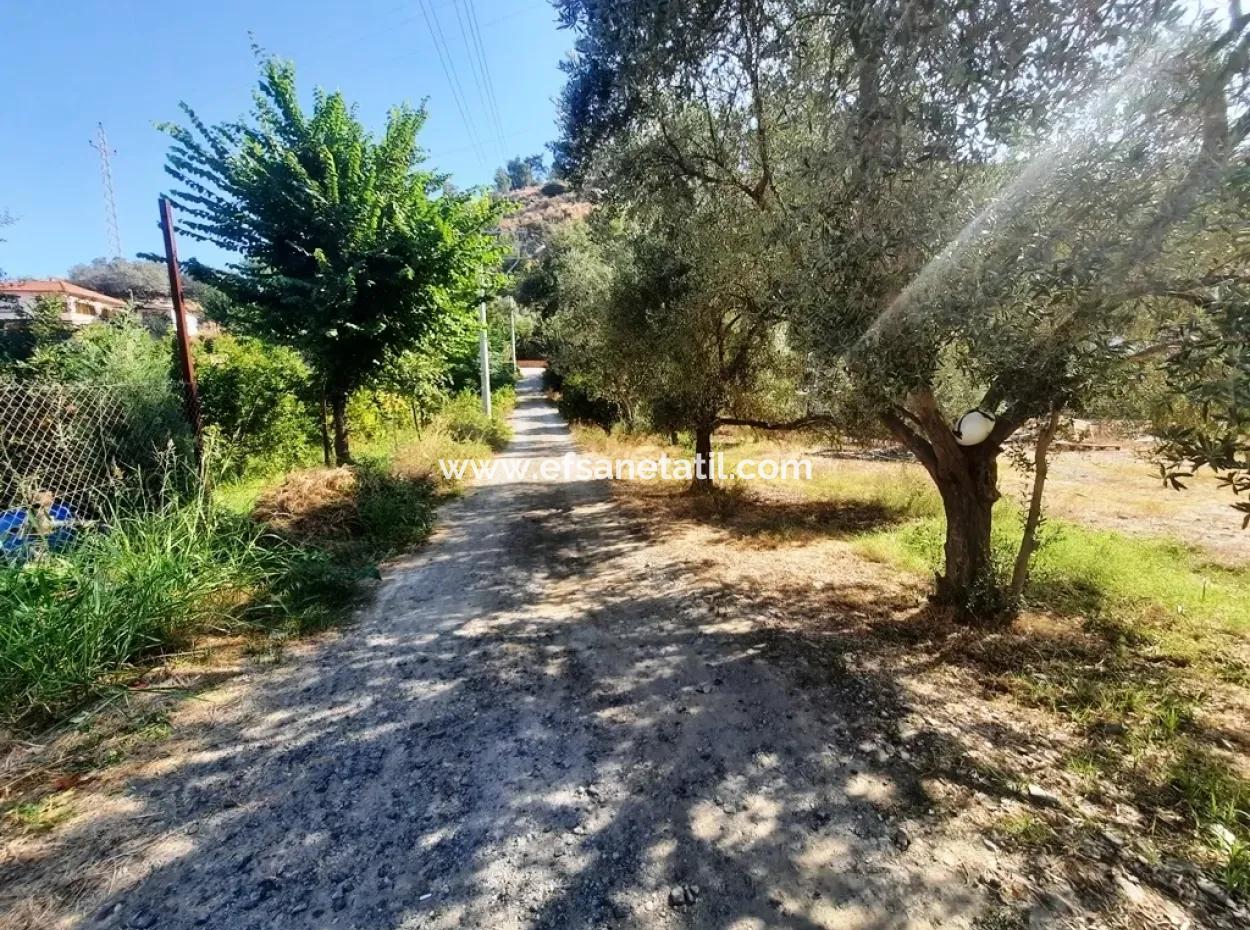 Bargain Plot For Sale In Ortaca Çaylı