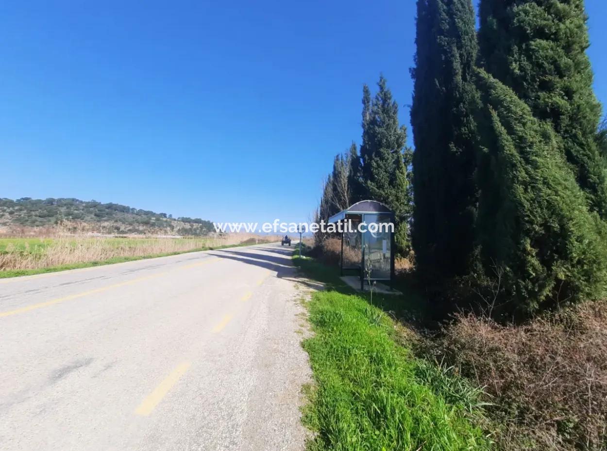 Mugla Ortaca Güzelyurt Sarıgerme Road Facing 2256 M2 Field For Sale