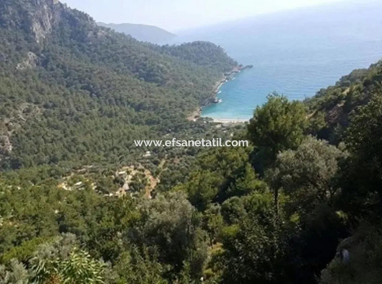 Plot For Sale In Faralya Fethiye With Sea Views, 6750 M2