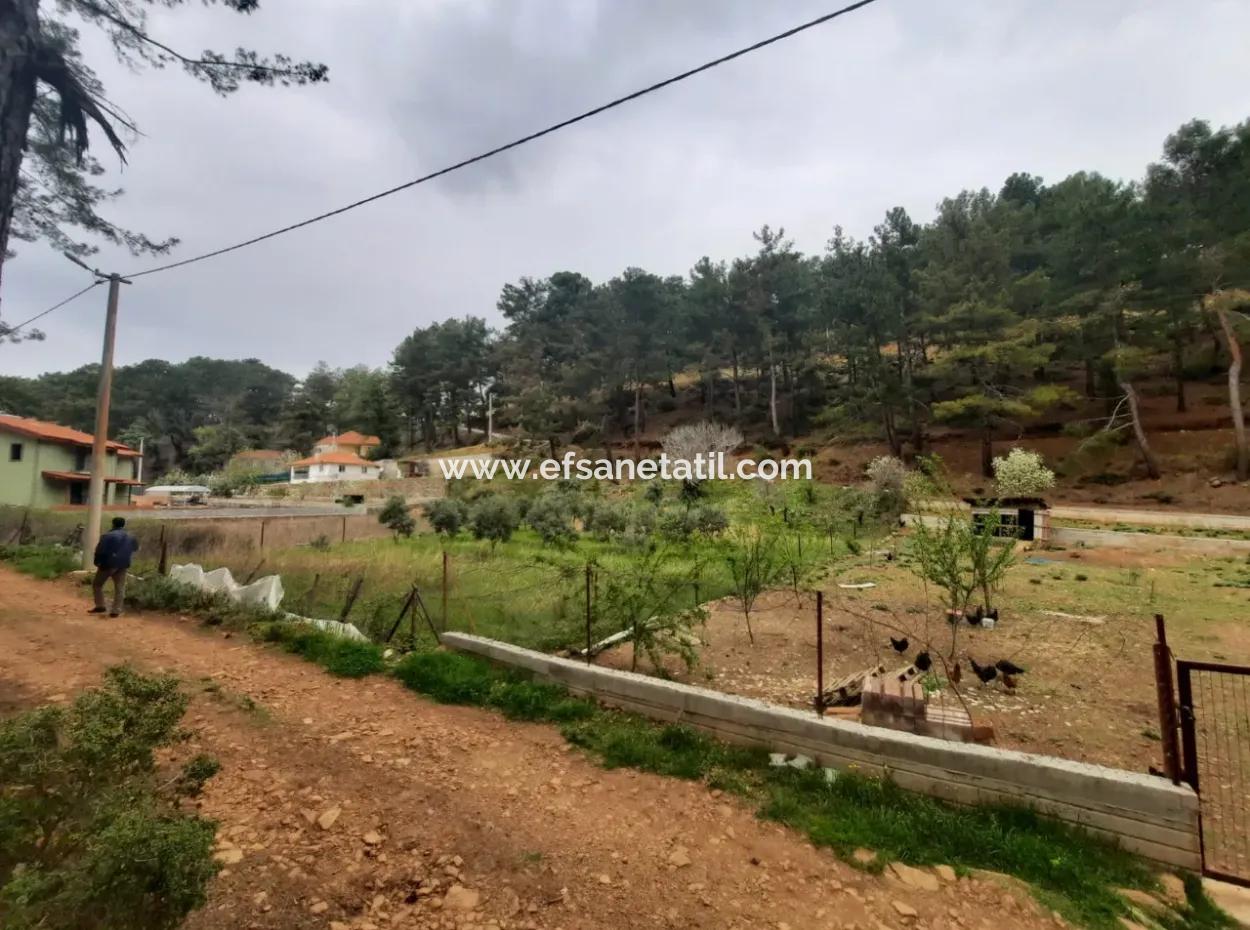 Köyceğinz Agla Yayla Opportunity 1050 M2 Zoning Land For Sale