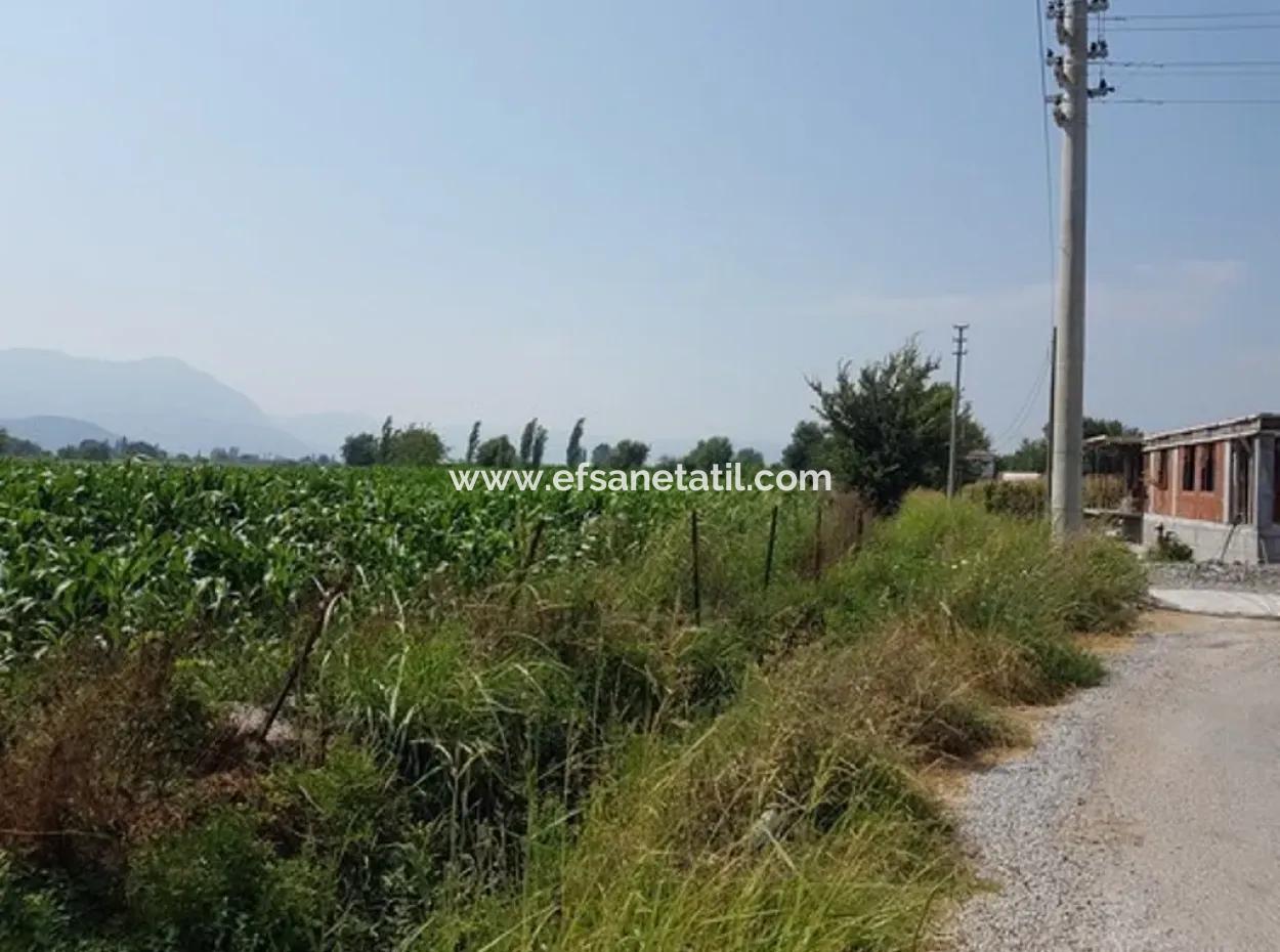 Detached 15000 M2 Fertile Land For Sale In Mugla Ortaca Archers