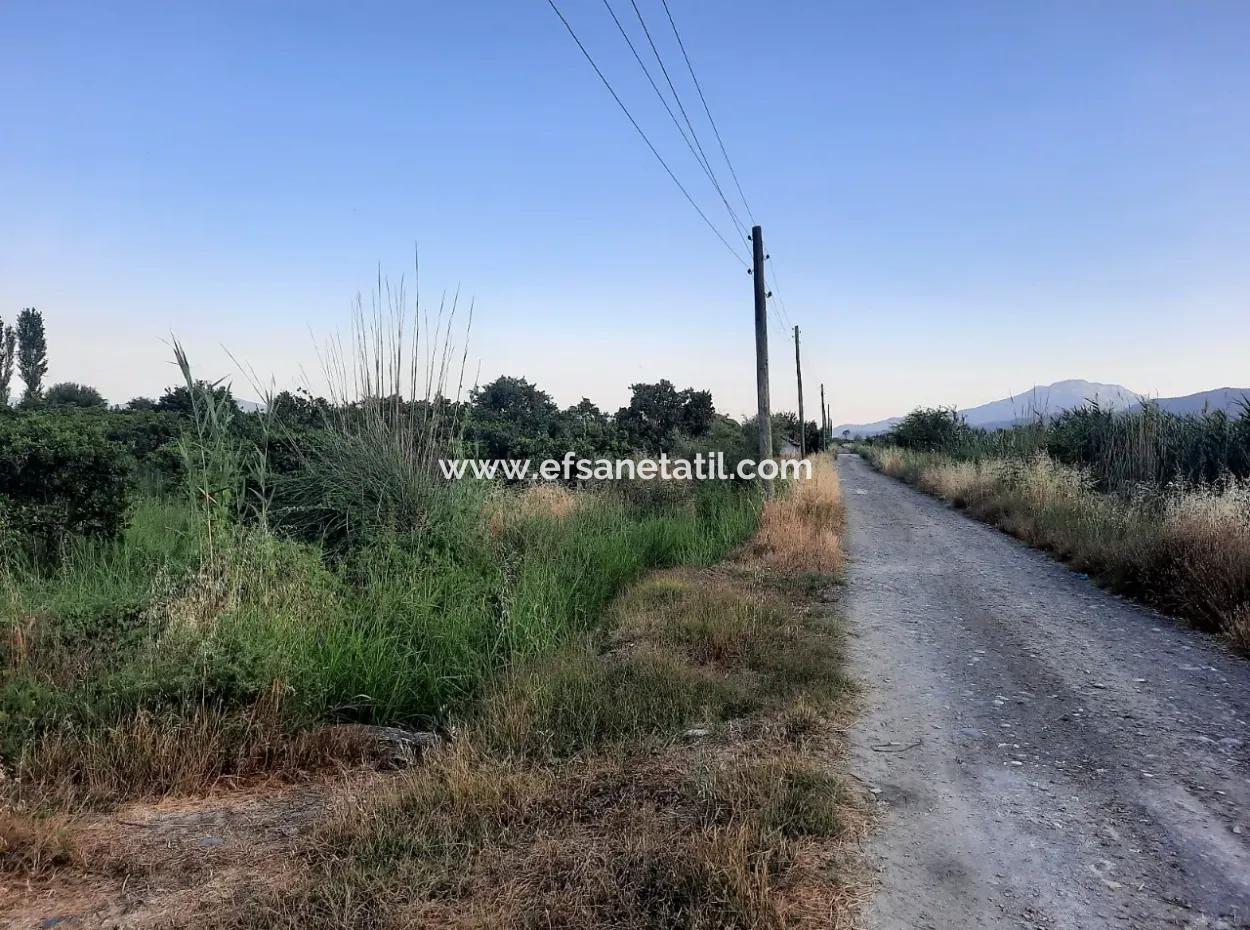 3500 M2 Orange And Tangerine Garden For Sale In Köyceğiz Toparlar