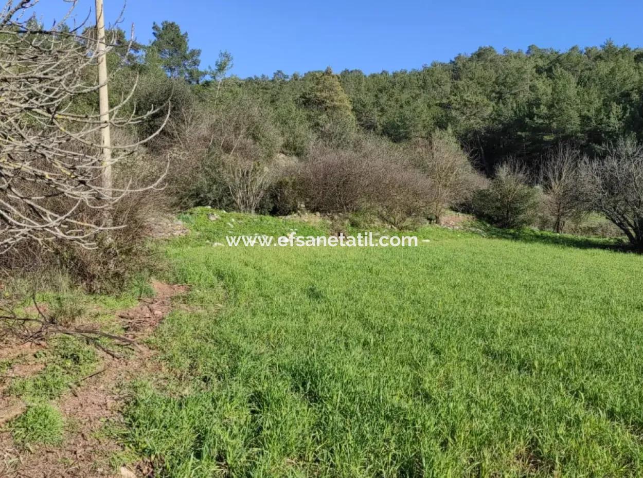 Mugla Ula Karabörtlen 2956 M2 Detached Land For Sale