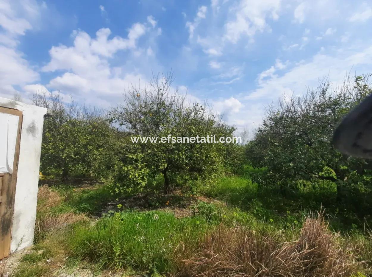 1703 M2 % 30/60 Zoning Land For Sale In Mugla Ortaca Center