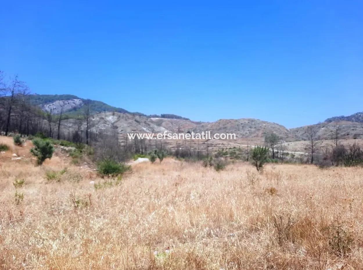 130.000 M2 Detached Land With Title Deed In Muğla Dalaman For Sale