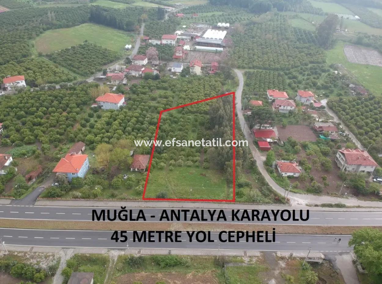 Antalya - Izmir Main Road Zero Fuel Station Suitable Net 2800M2 Commercial Zoned Land For Sale In Köyceğiz