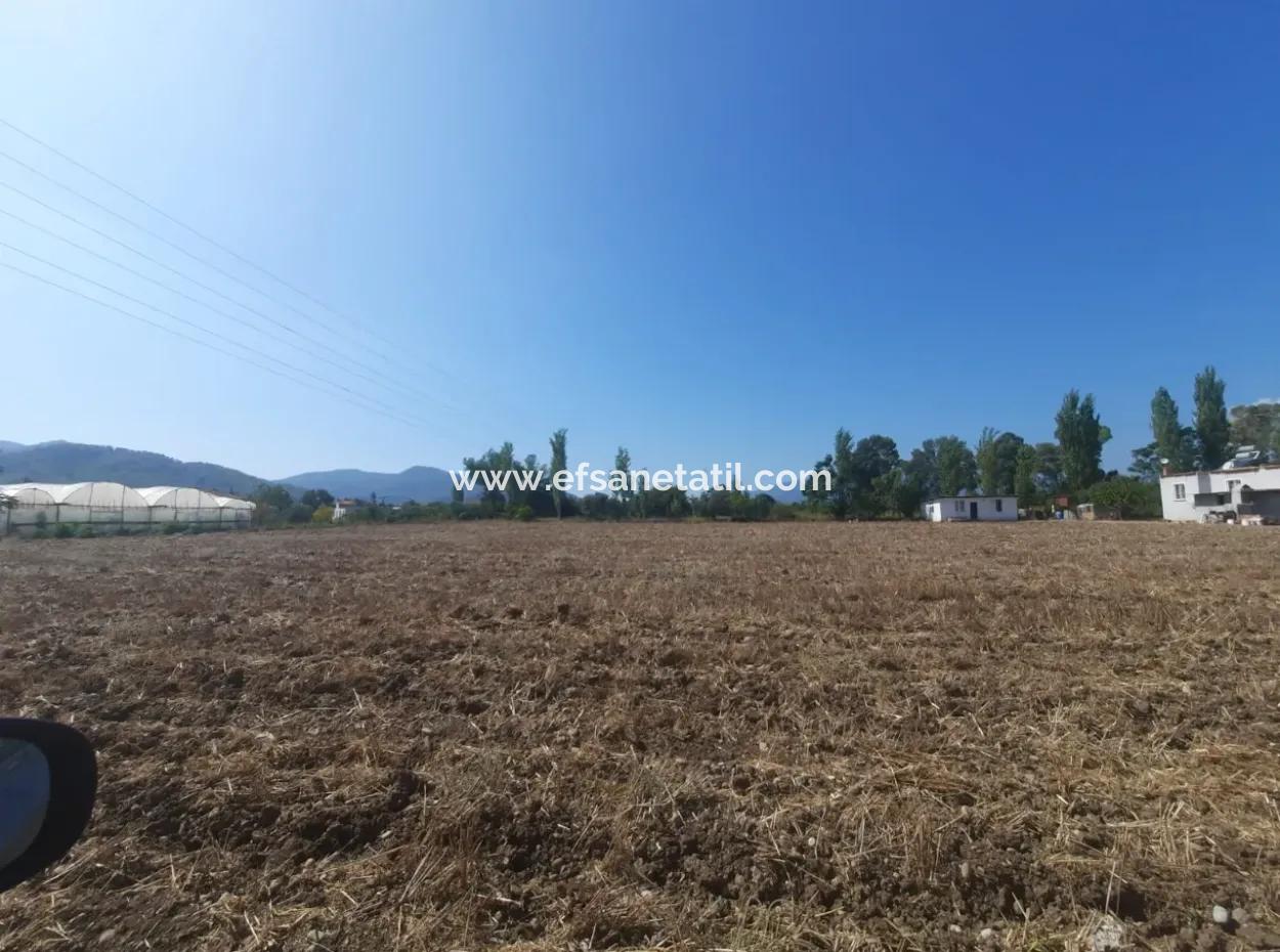 7 500 M2 Bargain Land For Sale In Ortaca Kemaliye