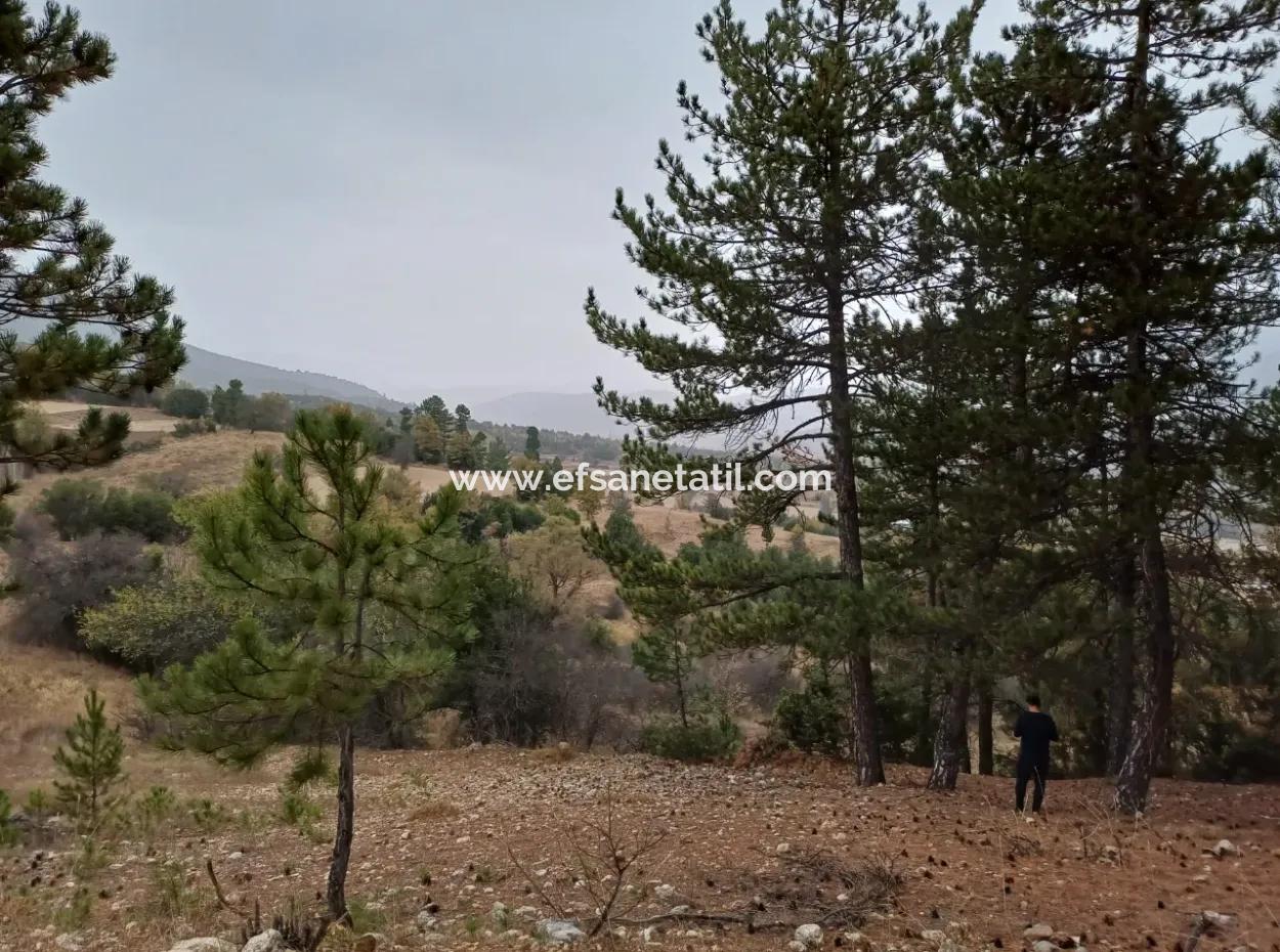 1 900 M2 Detached Bargain Land For Sale In Burdur Gölhisar Yeşildere