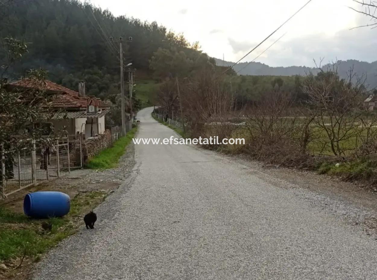 Muğla Ula Karabörtlende Bargain 1 140M2 Land For Sale