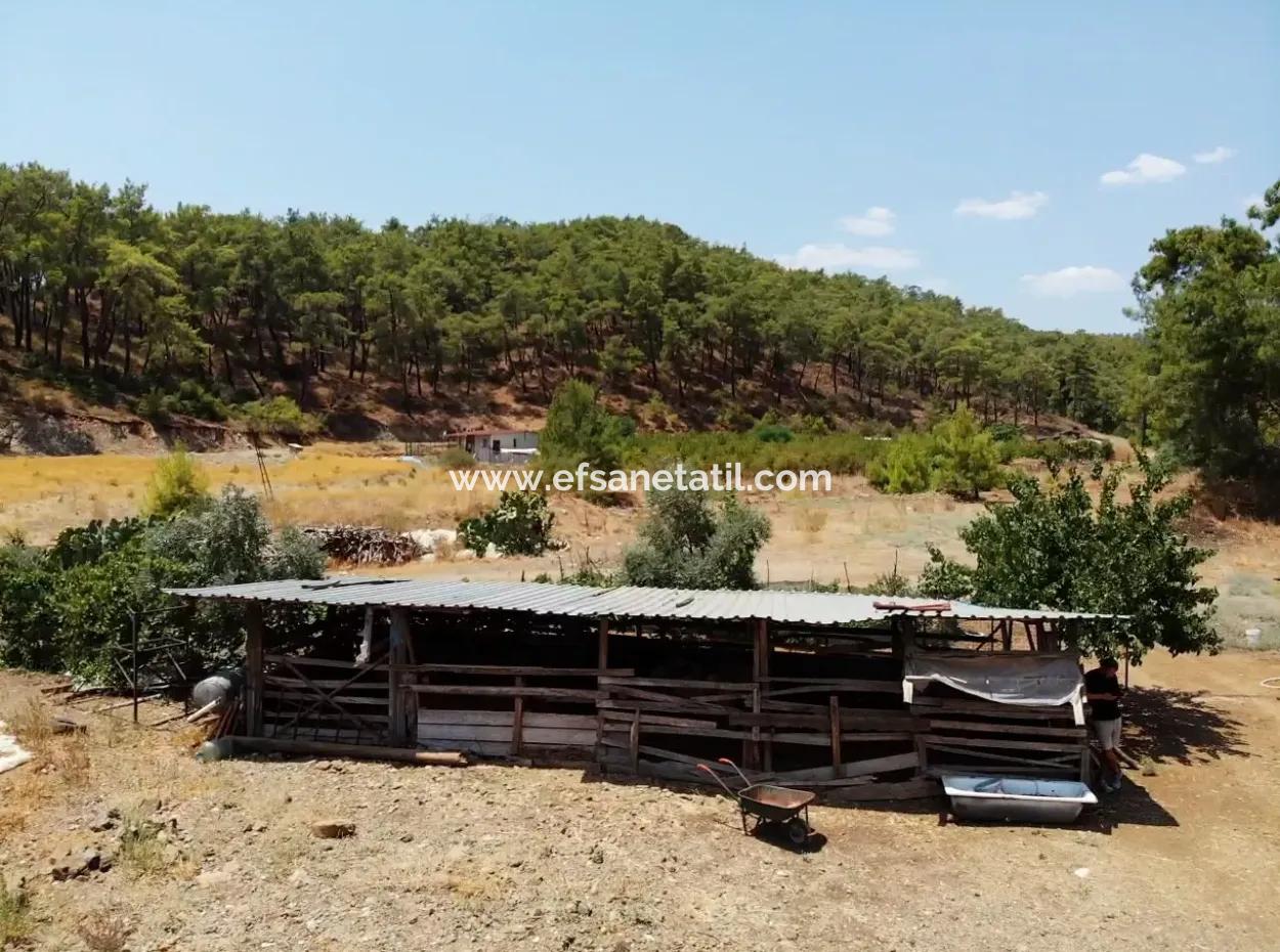 Ortaca Gölbaşı Farm And Detached House For Rent.