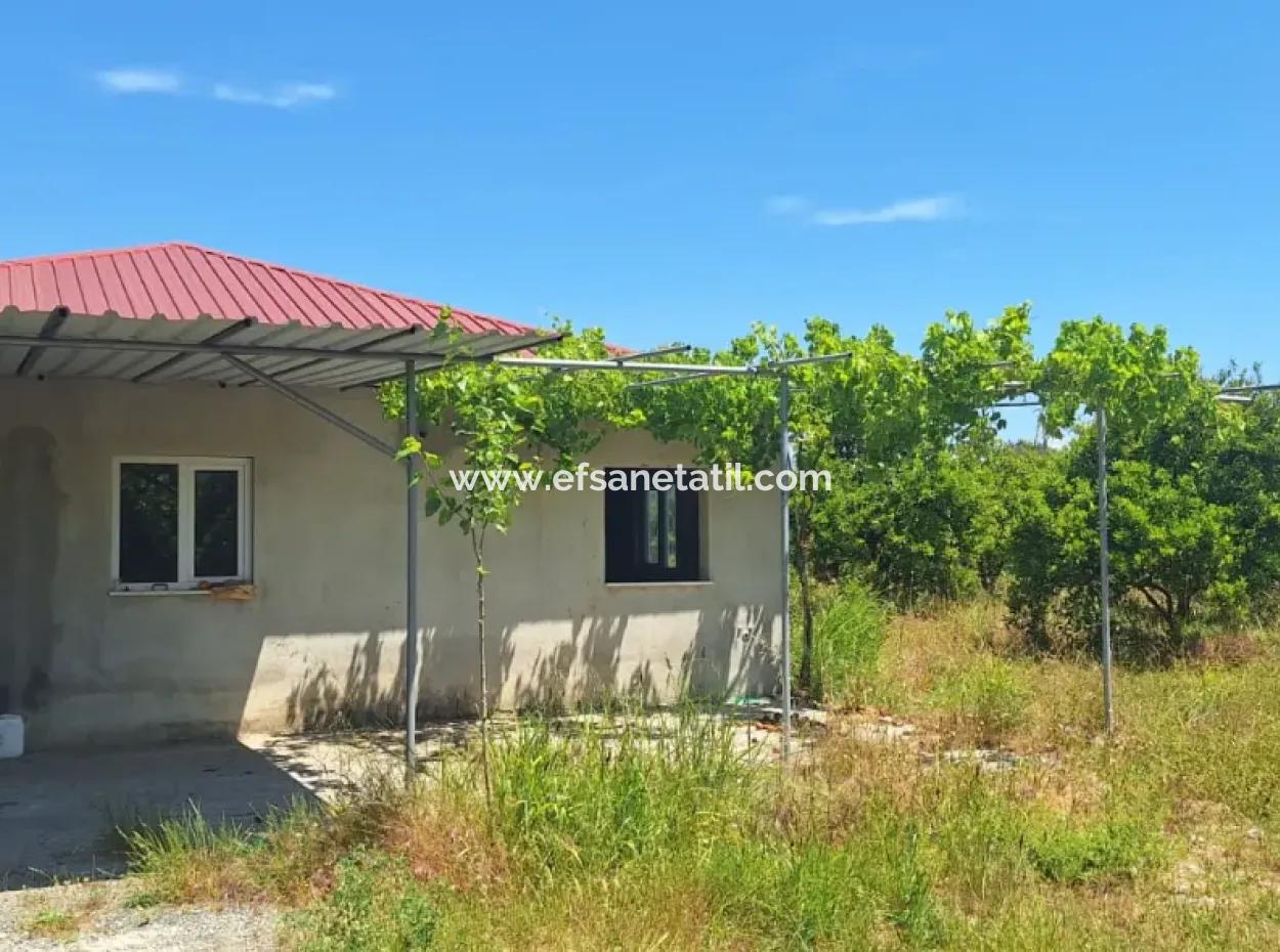 3 1 Village House For Sale In 17.000 M2 Orange Garden In Köyceğiz Toparlar