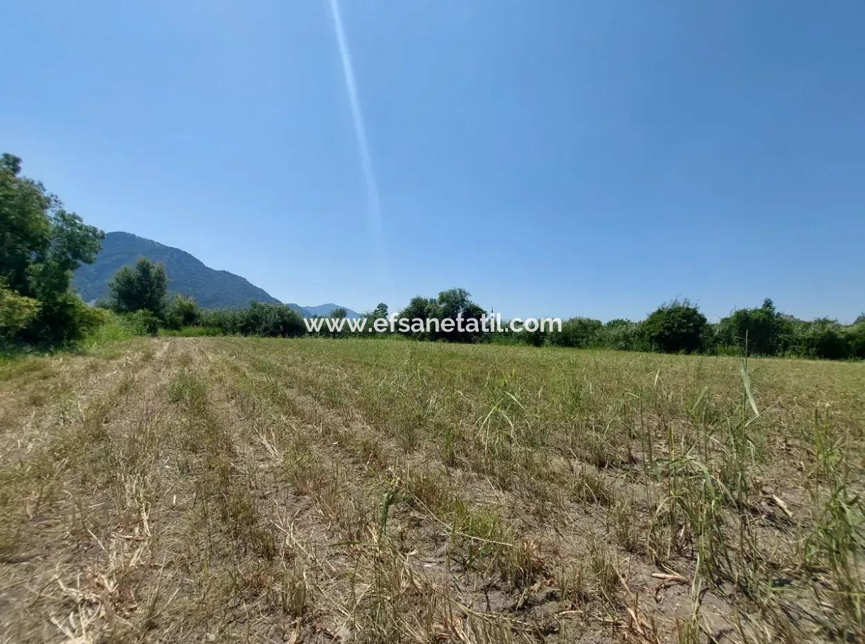 20.600 M2 Of Land In Ortaca Dalyan, 250 M2 Of Detached Land With The Right To Build A House Is For Sale