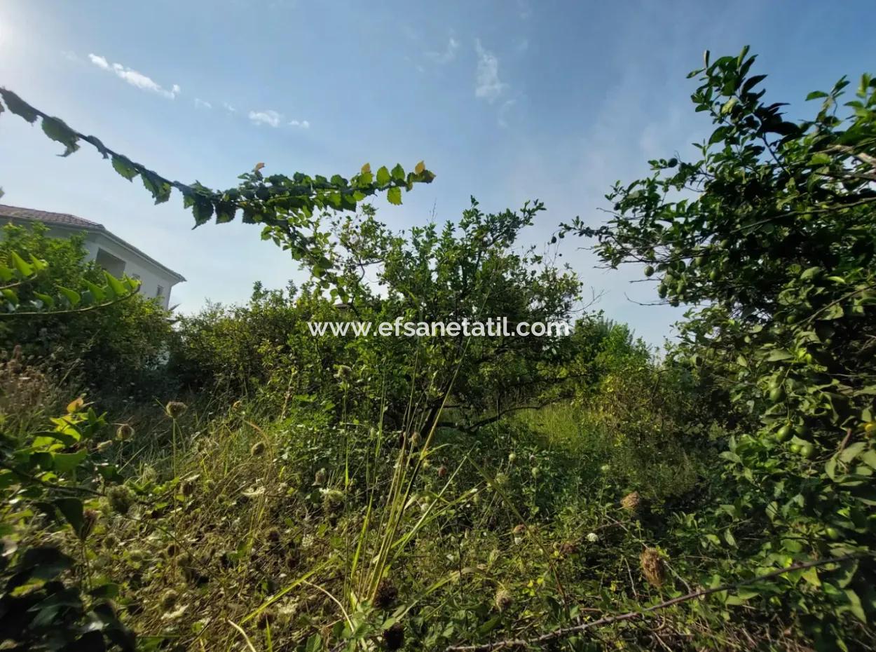 1.000 M2 Land For Sale In Ortaca Archers