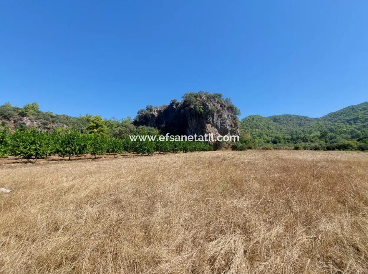 4.427 M2 Fertile Land With Mountain And Nature View In Ortaca Okçular For Sale