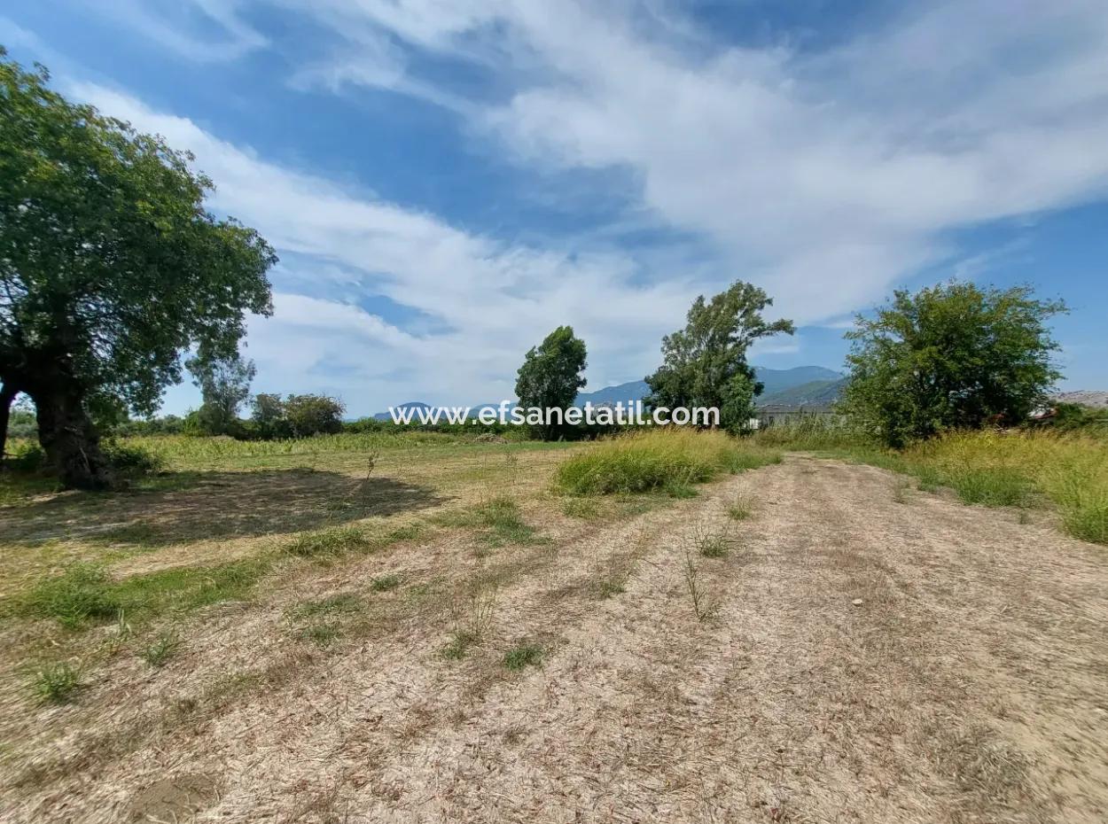 Mountainfront Fertile 1.680 M2 Land For Sale In Dalyan, Muğla