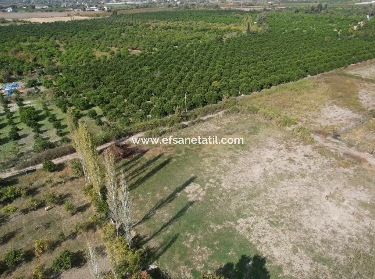 Ortaca Okçular 530 M2 Land For Sale Suitable For Investment