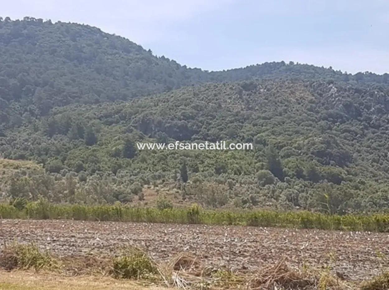 Oriya Eksiliyurt Mah. 26512 M2 Arable Land Also For Sale