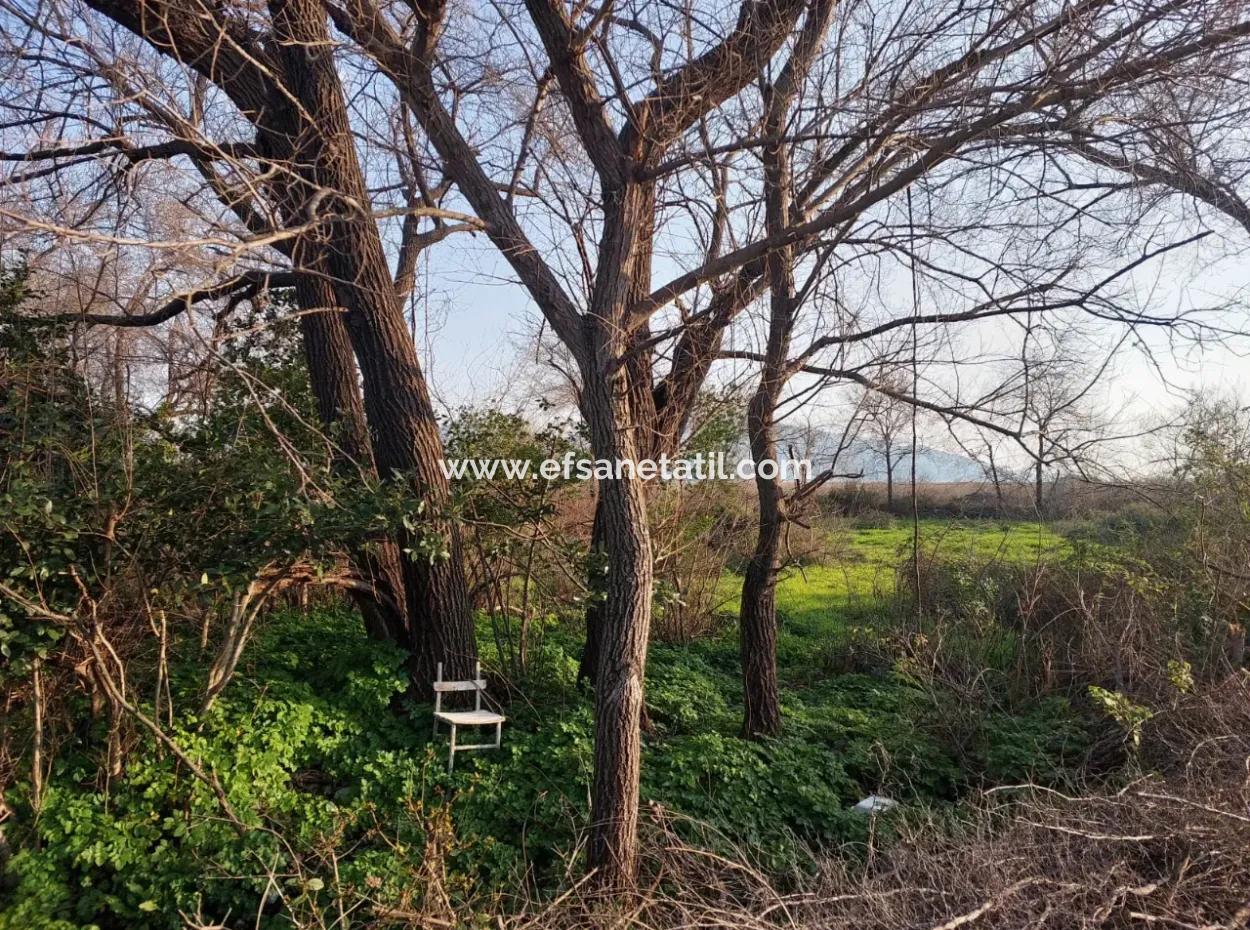 2585 M2 Detached Land Close To The Lake In Köyceğiz Çandırda For Sale