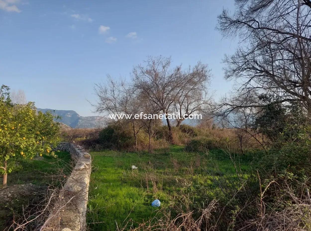 2585 M2 Detached Land Close To The Lake In Köyceğiz Çandırda For Sale