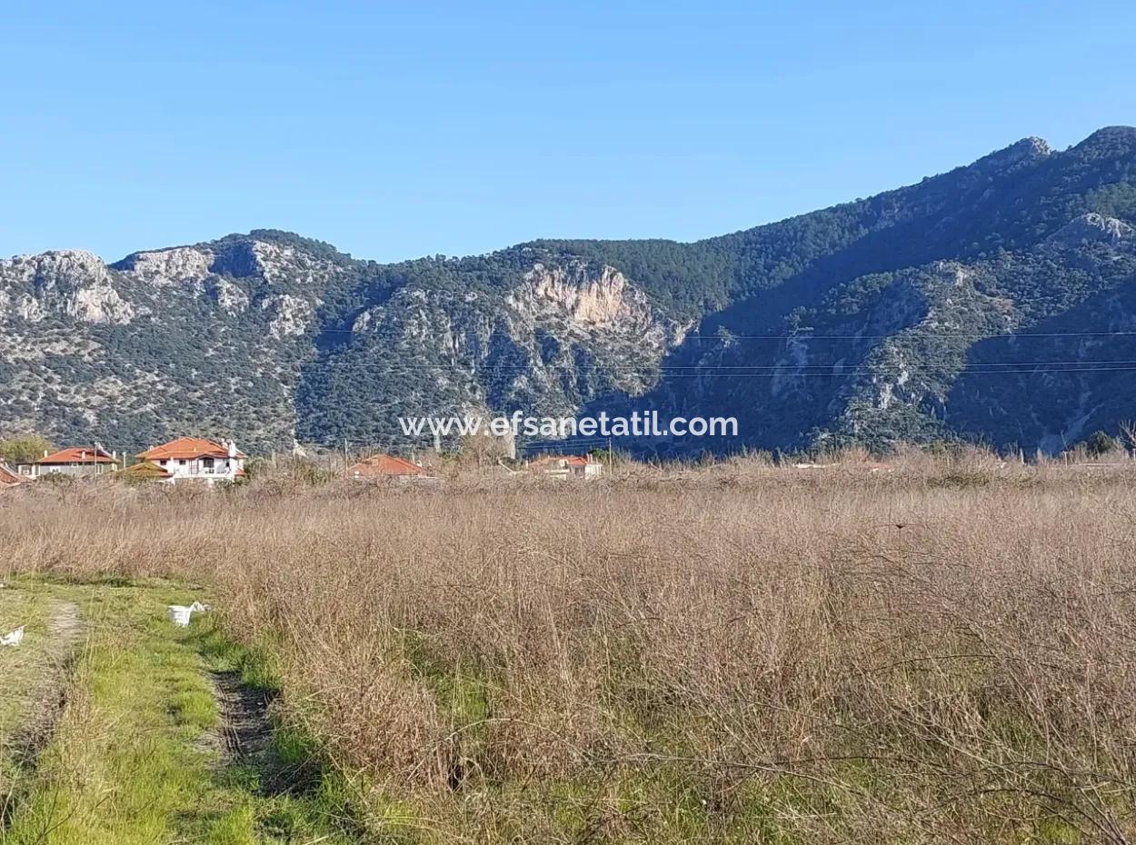 4.800 M2 Land For Sale In Muğla Ortaca Dalyan