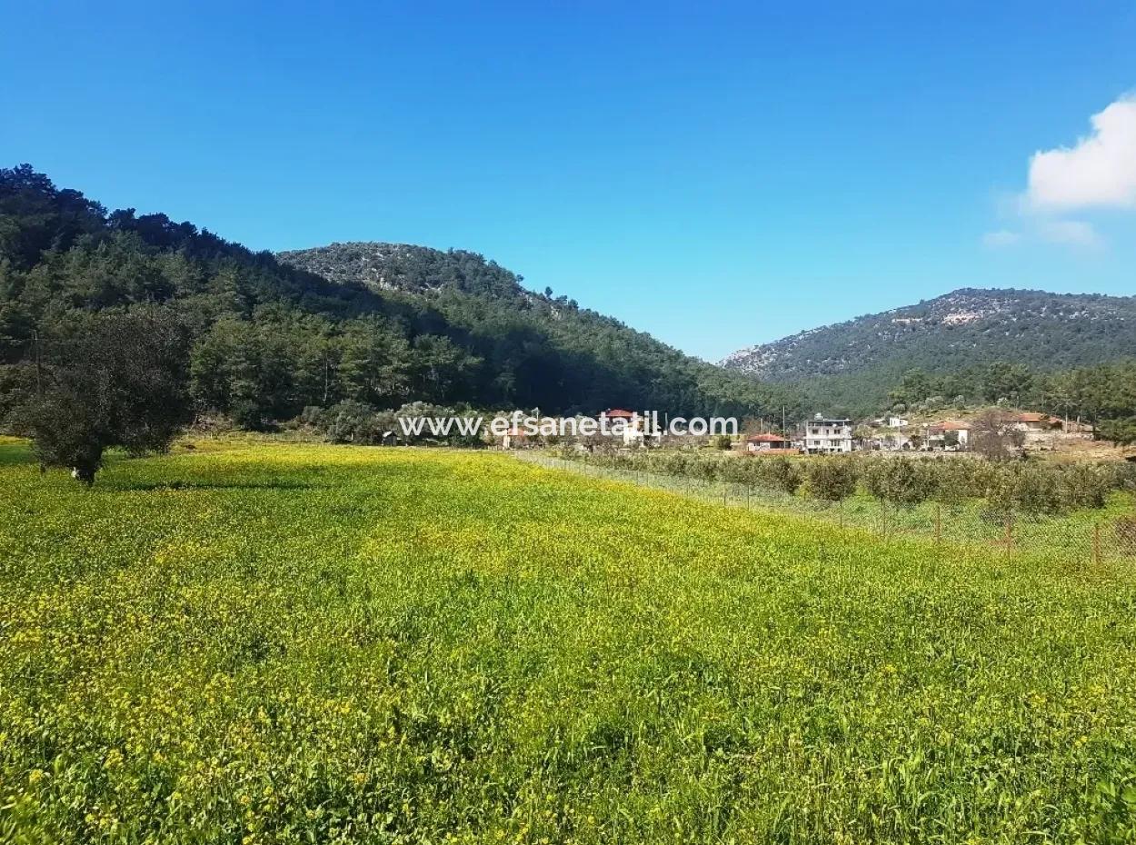 Land For Sale In Dalaman Honor Kircagedire