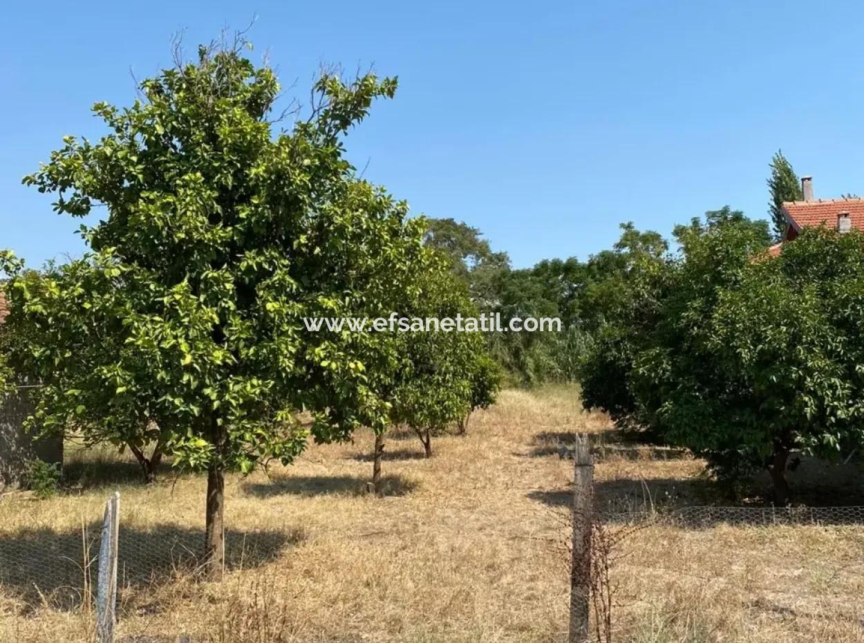 Zoned Land For Sale In Ortaca Yatirimlik