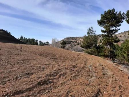 15.250 M2 Bargain Land For Sale In Çameli Kınıkyeri Acıpayam Road