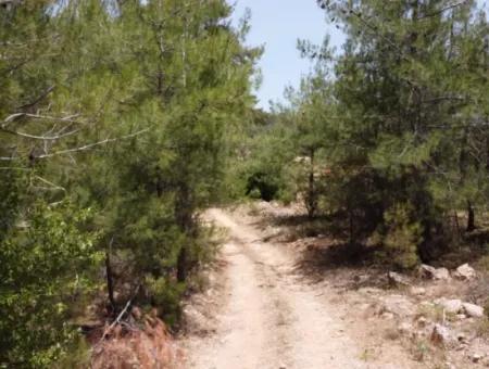 3031 M2 Detached Field For Sale In Mugla Menteşe Denizova