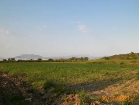 10 000 M2 Fertile Land For Sale In Mugla Ortaca Mergenli